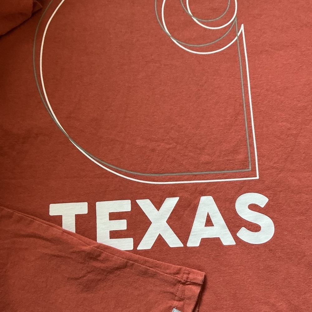 Carhartt Casual Orange Short Sleeve Tee with Graphic Detail - Picture 9 of 10